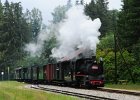 2020.07.19 JHMD U46.101 Jindřichův Hradec - Nová Bystřice (20)